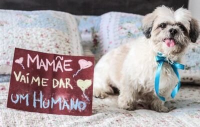 Idéias de Fotos para Anunciar Gravidez 6 7d890142f53f6083be57778c4101ce16