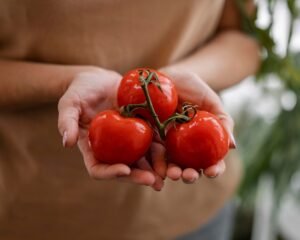 Teste de Gravidez no Tomate da Positivo