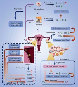 ECAM2022 3854117.001