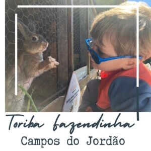 fazendinha toriba