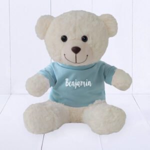 urso pelucia camiseta azul personalizada bru novo 1000x1000 1